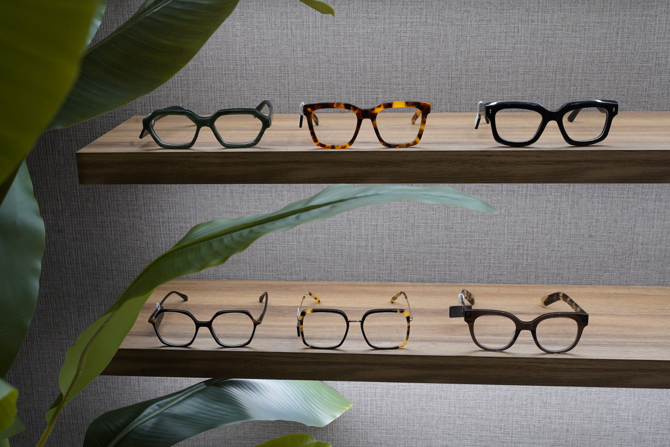 gafas de diseño en lugo