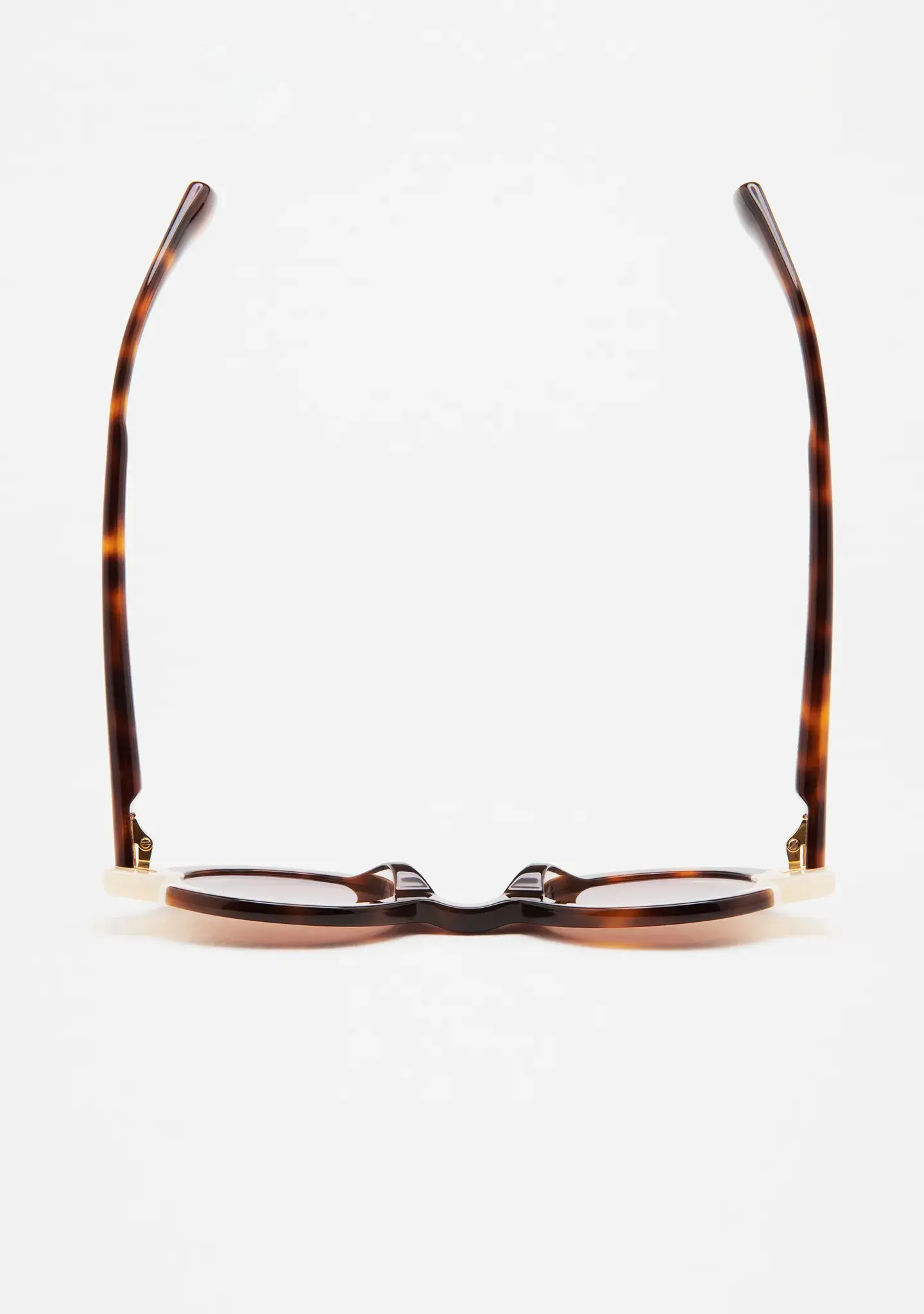 Gafas de sol KALEOS Patrick para mujer en acetato havana con lente ámbar degradada